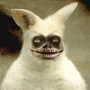 PYpoK